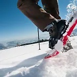 Platzhirsch Alpe Maritima & - 23 By Interhome דירה *