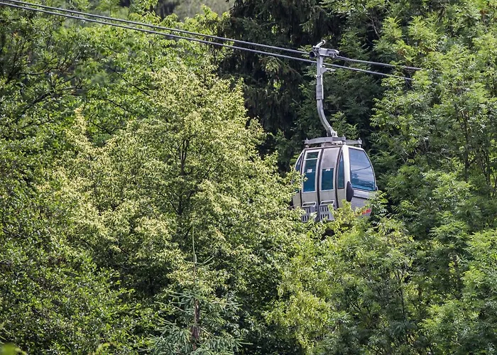 Platzhirsch Alpe Maritima & - 23 By Interhome * אננהיים